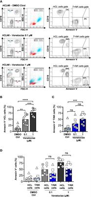 In Vitro Sensitivity to Venetoclax and Microenvironment Protection in Hairy Cell Leukemia